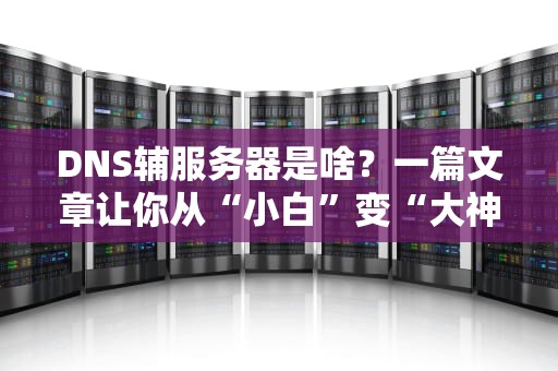 DNS辅服务器是啥？一篇文章让你从“小白”变“大神”！