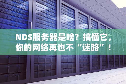 NDS服务器是啥？搞懂它，你的网络再也不“迷路”！