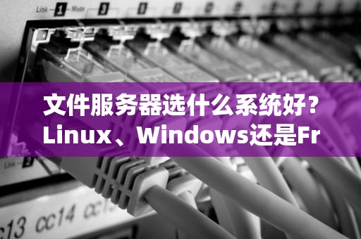 文件服务器选什么系统好？Linux、Windows还是FreeNAS？老司机带你避坑！