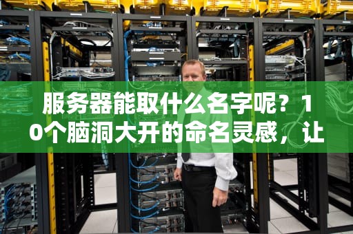 服务器能取什么名字呢？10个脑洞大开的命名灵感，让运维不再枯燥！