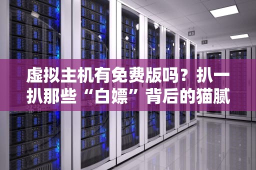 虚拟主机有免费版吗？扒一扒那些“白嫖”背后的猫腻！