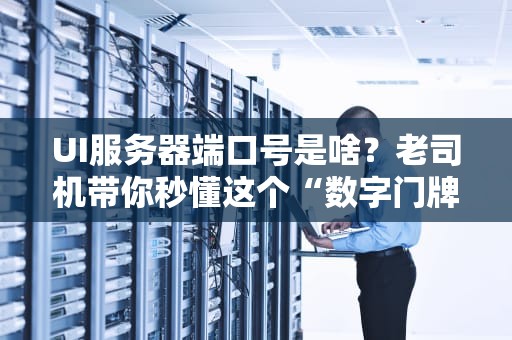 UI服务器端口号是啥？老司机带你秒懂这个“数字门牌号”！