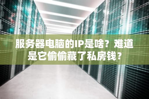 服务器电脑的IP是啥？难道是它偷偷藏了私房钱？