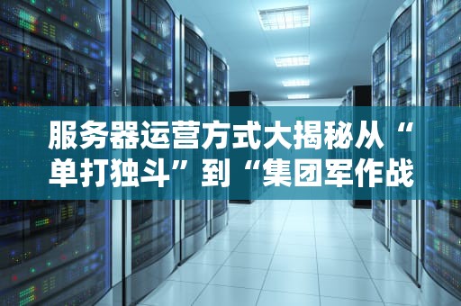服务器运营方式大揭秘从“单打独斗”到“集团军作战”的进阶指南