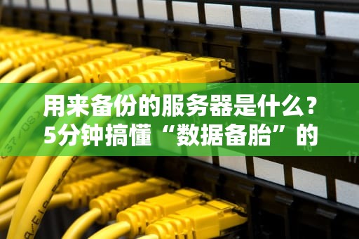 用来备份的服务器是什么？5分钟搞懂“数据备胎”的自我修养！