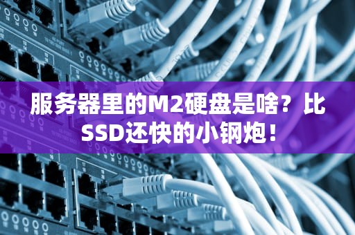 服务器里的M2硬盘是啥？比SSD还快的小钢炮！