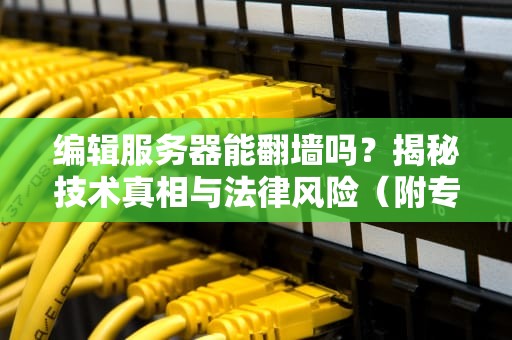 编辑服务器能翻墙吗？揭秘技术真相与法律风险（附专业测评）