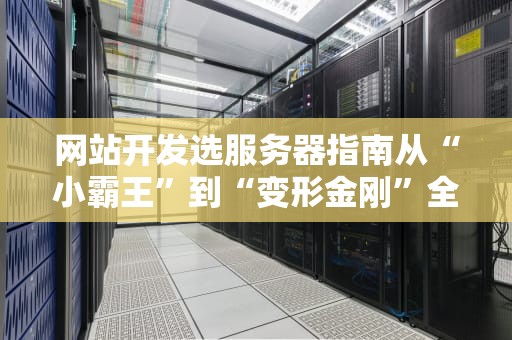 网站开发选服务器指南从“小霸王”到“变形金刚”全解析