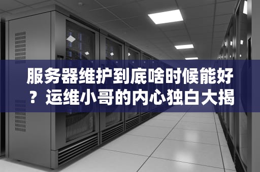 服务器维护到底啥时候能好？运维小哥的内心独白大揭秘！