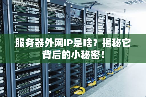 服务器外网IP是啥？揭秘它背后的小秘密！