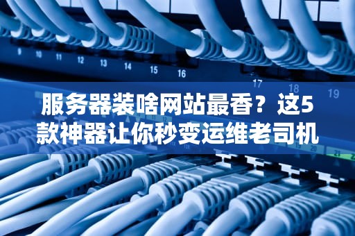 服务器装啥网站最香？这5款神器让你秒变运维老司机！