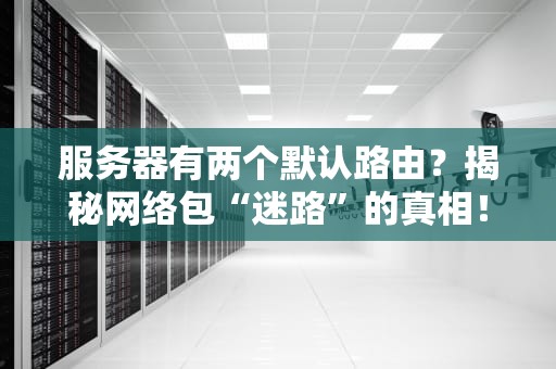 服务器有两个默认路由？揭秘网络包“迷路”的真相！