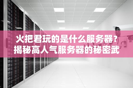 火把君玩的是什么服务器？揭秘高人气服务器的秘密武器！