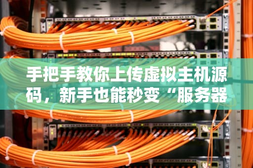 手把手教你上传虚拟主机源码，新手也能秒变“服务器大神”！