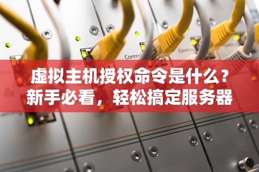 虚拟主机授权命令是什么？新手必看，轻松搞定服务器权限！