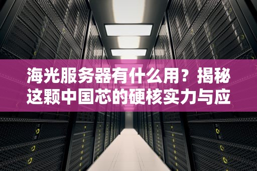 海光服务器有什么用？揭秘这颗中国芯的硬核实力与应用场景