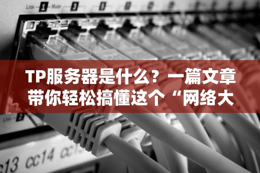 TP服务器是什么？一篇文章带你轻松搞懂这个“网络大管家”！