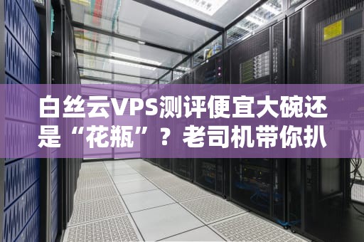 白丝云VPS测评便宜大碗还是“花瓶”？老司机带你扒光看内核！