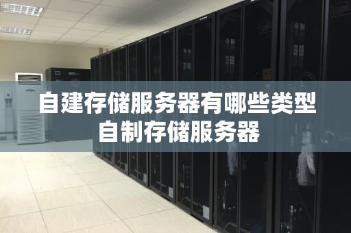 自建存储服务器有哪些类型 自制存储服务器