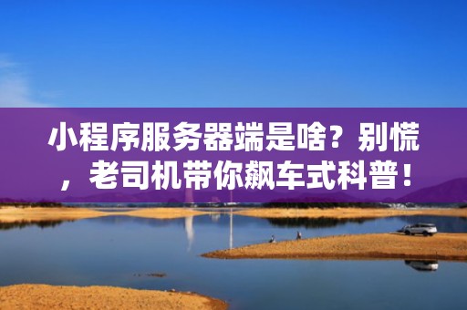 小程序服务器端是啥？别慌，老司机带你飙车式科普！