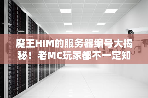 魔王HIM的服务器编号大揭秘！老MC玩家都不一定知道的冷知识