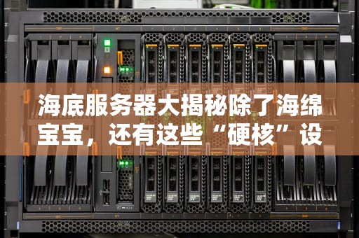 海底服务器大揭秘除了海绵宝宝，还有这些“硬核”设备等你玩！
