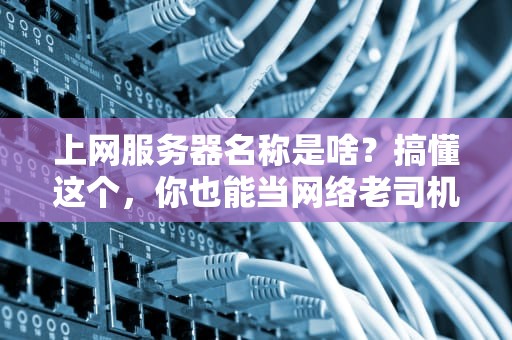 上网服务器名称是啥？搞懂这个，你也能当网络老司机！