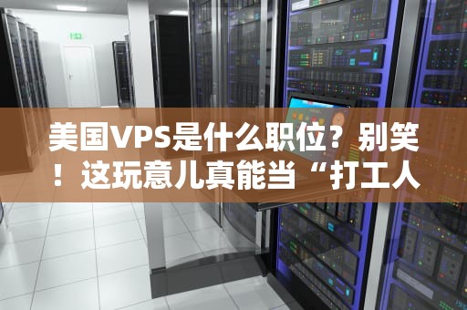 美国VPS是什么职位？别笑！这玩意儿真能当“打工人”用？