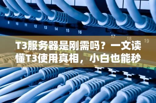 T3服务器是刚需吗？一文读懂T3使用真相，小白也能秒变老司机！
