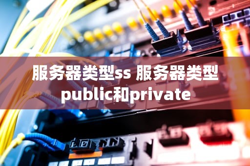 服务器类型ss 服务器类型public和private