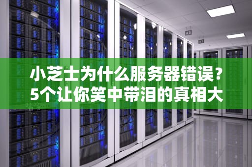 小芝士为什么服务器错误？5个让你笑中带泪的真相大揭秘！