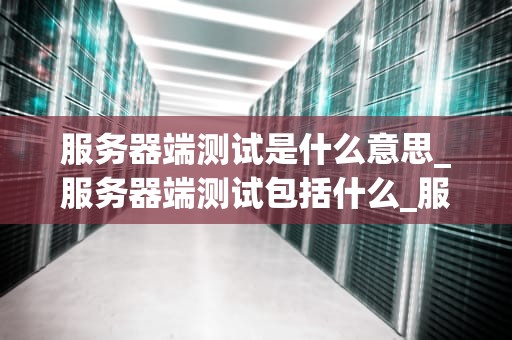 服务器端测试是什么意思_服务器端测试包括什么_服务器端测试的深入理解与实践