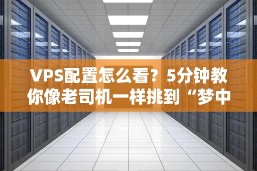 VPS配置怎么看？5分钟教你像老司机一样挑到“梦中情机”！