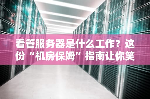 看管服务器是什么工作？这份“机房保姆”指南让你笑出八块腹肌！