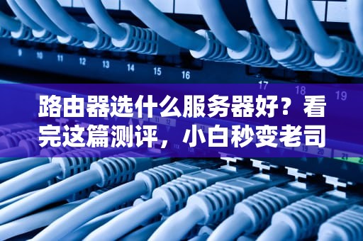 路由器选什么服务器好？看完这篇测评，小白秒变老司机！