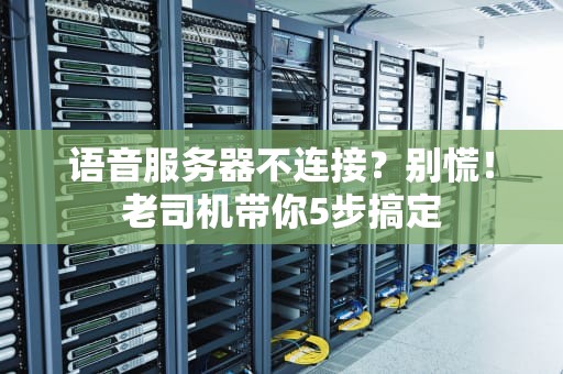 语音服务器不连接？别慌！老司机带你5步搞定