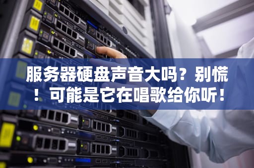 服务器硬盘声音大吗？别慌！可能是它在唱歌给你听！