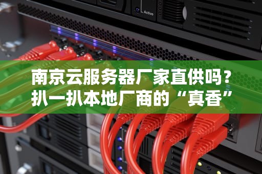南京云服务器厂家直供吗？扒一扒本地厂商的“真香”与“避坑指南”