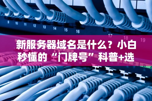 新服务器域名是什么？小白秒懂的“门牌号”科普+选购避坑指南！