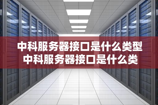 中科服务器接口是什么类型 中科服务器接口是什么类型的