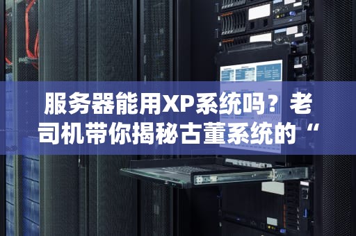 服务器能用XP系统吗？老司机带你揭秘古董系统的“退休生活”