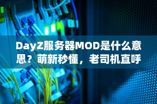 DayZ服务器MOD是什么意思？萌新秒懂，老司机直呼内行！