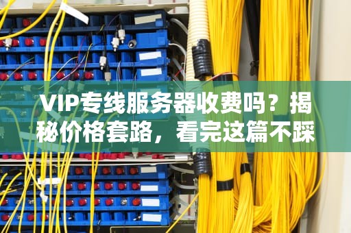 VIP专线服务器收费吗？揭秘价格套路，看完这篇不踩坑！