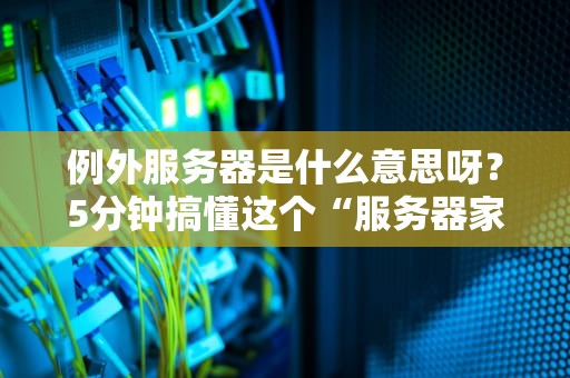 例外服务器是什么意思呀？5分钟搞懂这个“服务器家族叛逆分子”！
