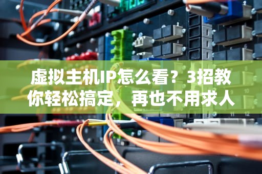 虚拟主机IP怎么看？3招教你轻松搞定，再也不用求人！