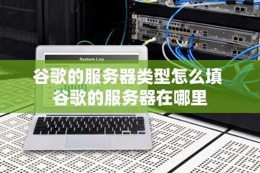 谷歌的服务器类型怎么填 谷歌的服务器在哪里