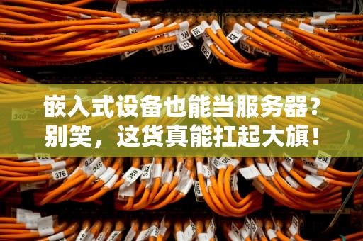 嵌入式设备也能当服务器？别笑，这货真能扛起大旗！