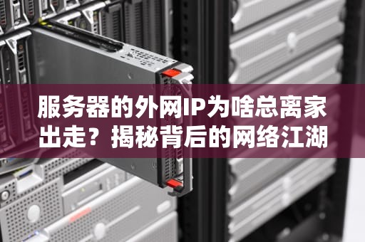 服务器的外网IP为啥总离家出走？揭秘背后的网络江湖恩怨！