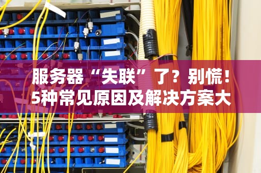 服务器“失联”了？别慌！5种常见原因及解决方案大揭秘