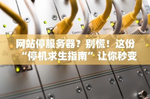 网站停服务器？别慌！这份“停机求生指南”让你秒变运维老司机